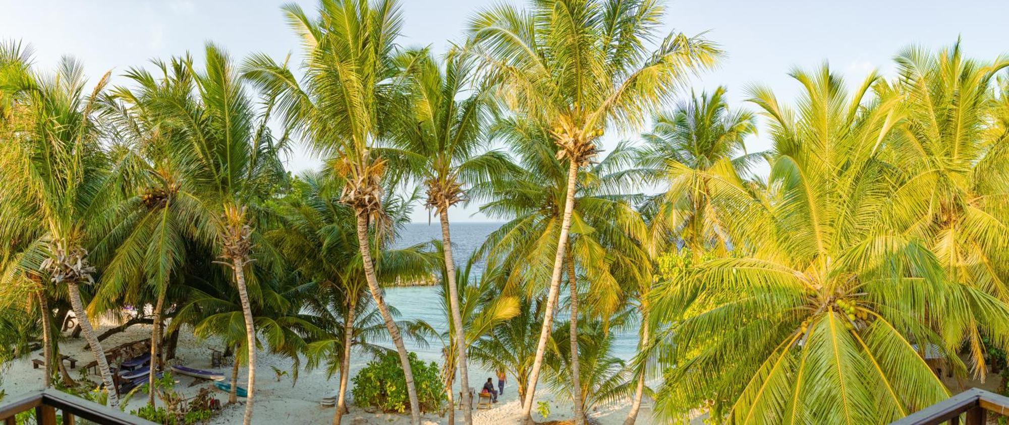 Chak'Z 1964 Beach Dharavandhoo Exterior foto